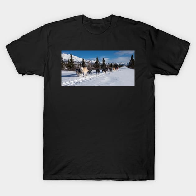 Dog Sled T-Shirt by kawaii_shop